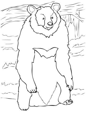 Asia Black Bear Standing Up Coloring Page